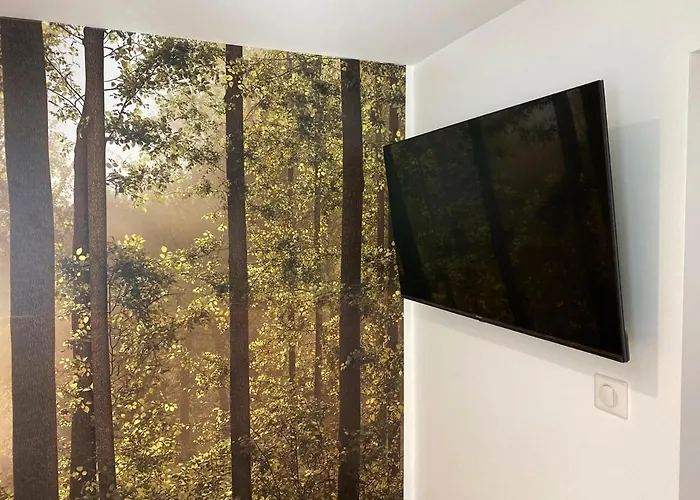 Apartment Proche Gare *